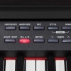 Medeli DP 460 K Dijital Piyano (Venge)