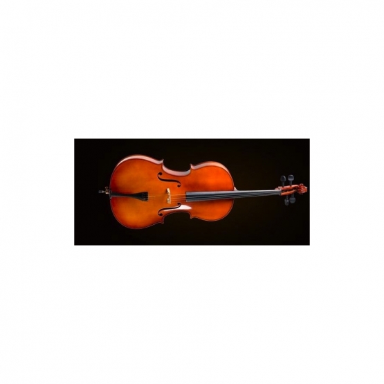 VALENCIA CE400G12 Cello Kılıflı+Yay+Reçine 1/2 German Sistem