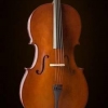 VALENCIA CE160G44 Cello +Kılıf+Yay German Sys.4/4 Sunburst