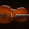 VALENCIA CE160F44 Cello +Kılıf+Yay .4/4 Sunburst