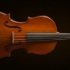VALENCIA VA16041 Viola Kutulu 16 ( 40.64 cm ) cm )