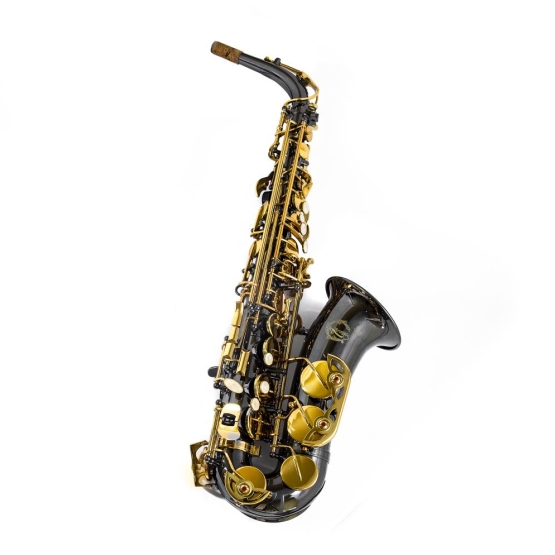 Saksofon Trevor James Artemis siyah gövde-sarı perdeler Alto