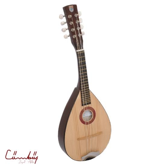 Mandolin Zeynel Abidin Cümbüş marka